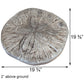 Athens Sand Dollar Stepping Stone, Pre Aged