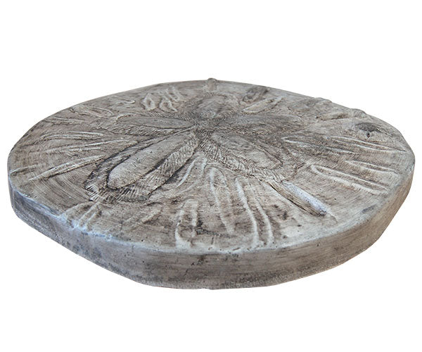 Athens Sand Dollar Stepping Stone, Pre Aged