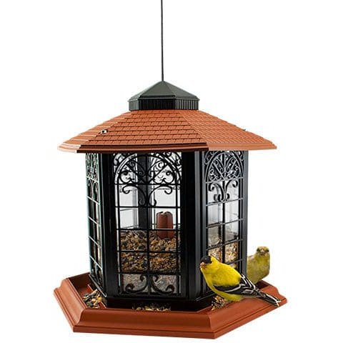 Audubon Rustica Italia Gazebo Bird Feeder