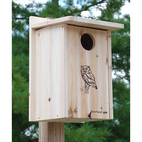 BestNest Premium Screech Owl / Kestrel House