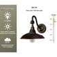 Classy Caps Dark Bronze Solar Barn Light