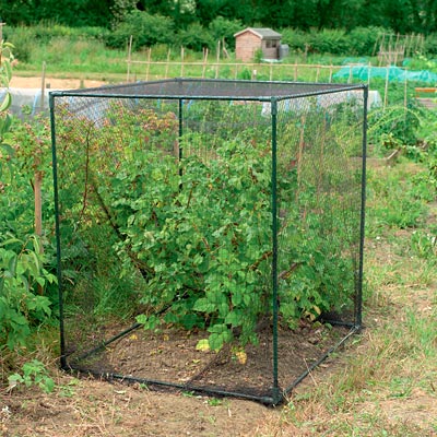 Gardman Small Fruit Cages, Black, 47"H, Pack of 2