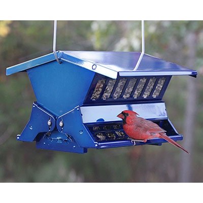 Double Sided Absolute II Bird Feeder, Electric Blue