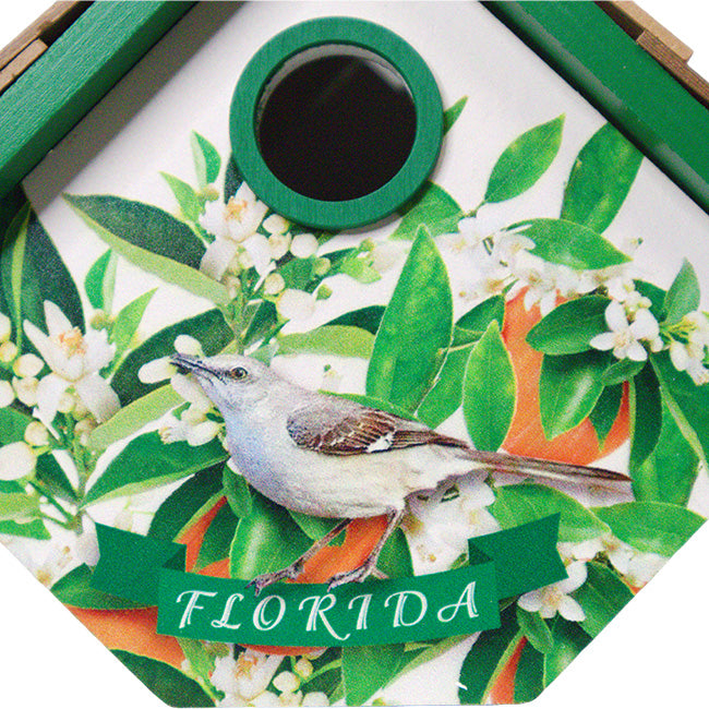 Home Bazaar Wren House for Florida, Orange Blossom Print