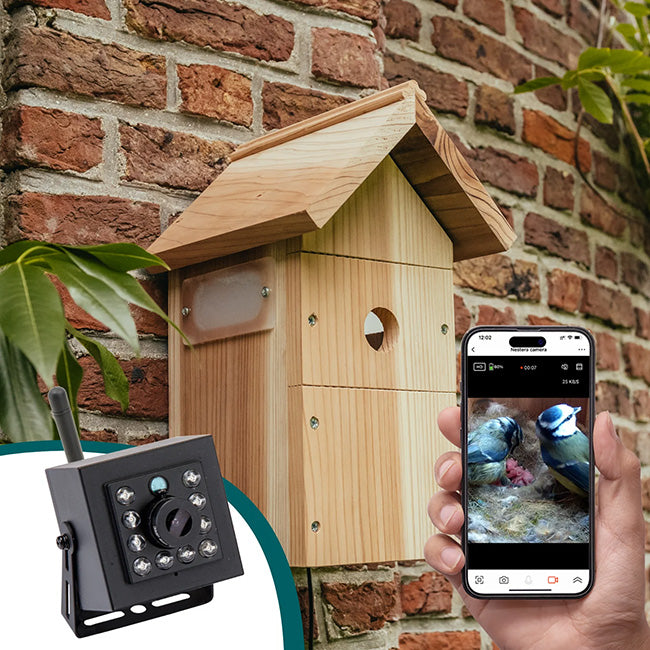 Nestera Bird Box WiFi Camera & Bird House Set, Corded