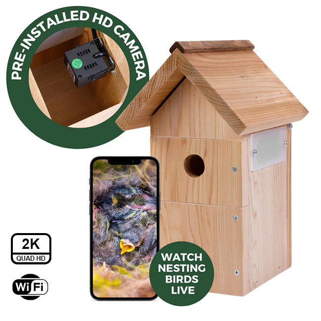 Nestera Bird Box WiFi Camera & Bird House Set, Corded