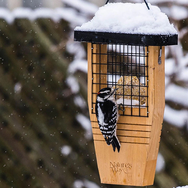 Nature's Way Cedar Suet Feeder with Tail Prop