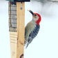 Nature's Way Cedar Suet Feeder with Tail Prop