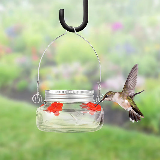 Nature's Way Mason Jar Hummingbird Feeder, 6 oz.
