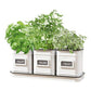 Panacea Vintage Milkhouse Tray and Planters