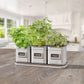 Panacea Vintage Milkhouse Tray and Planters