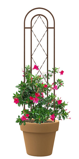 Panacea Rustic Farmhouse Twisted Wire Pot Trellis, Rust, 46"