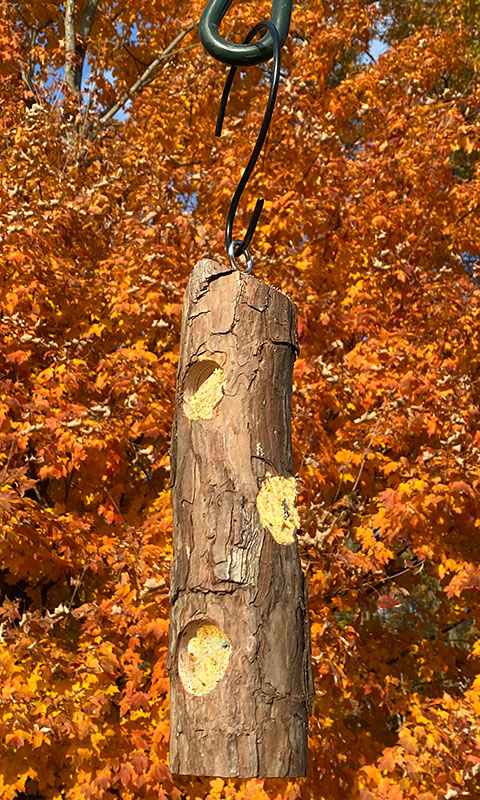 Cedar Suet Log Feeder by Prime Retreat