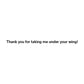 Illustrated Greeting Card Assortment by Prime Retreat