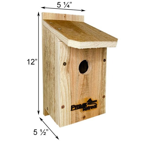 Kids DIY Nature Crafts Premier Kit by Prime Retreat