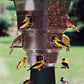 Wild Bills Electronic Squirrel Proof Bird Feeder, 12 ports