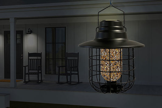 Woodlink Modern Farmhouse Caged Bird Feeder & Solar Light