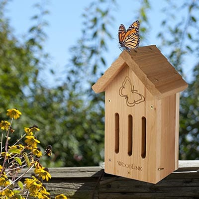 Woodlink Butterfly House DIY Craft Kits, Club Pack of 6