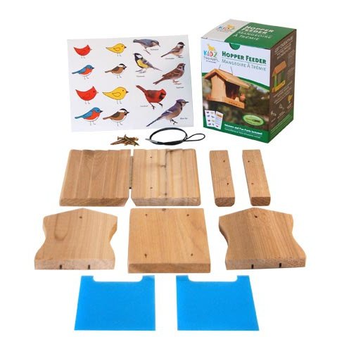 Woodlink Hopper Feeder DIY Craft Kits, Club Pack of 6